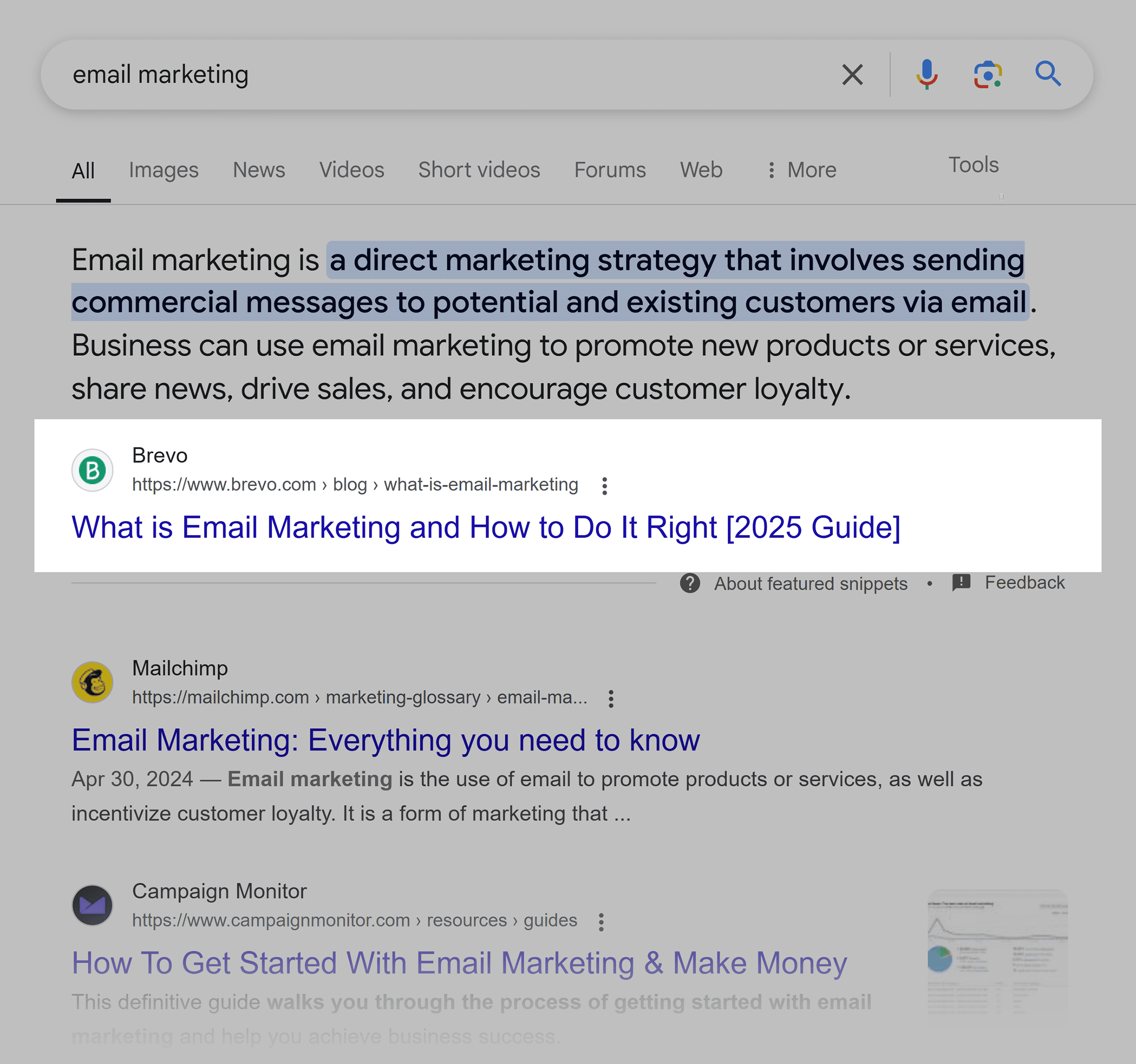 Google SERP – Email Marketing